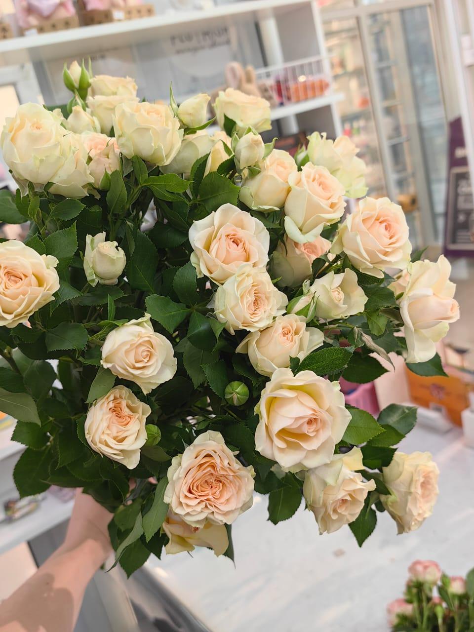 goods image