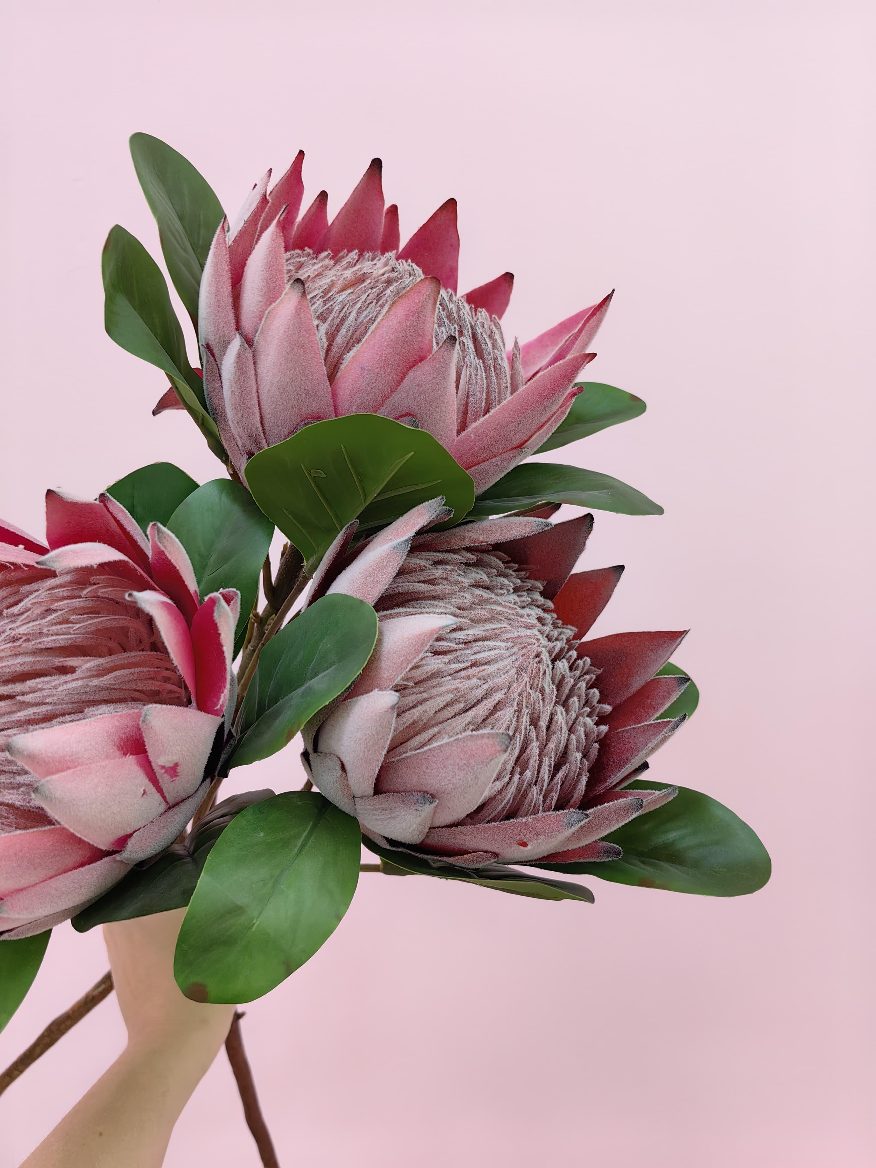 goods image