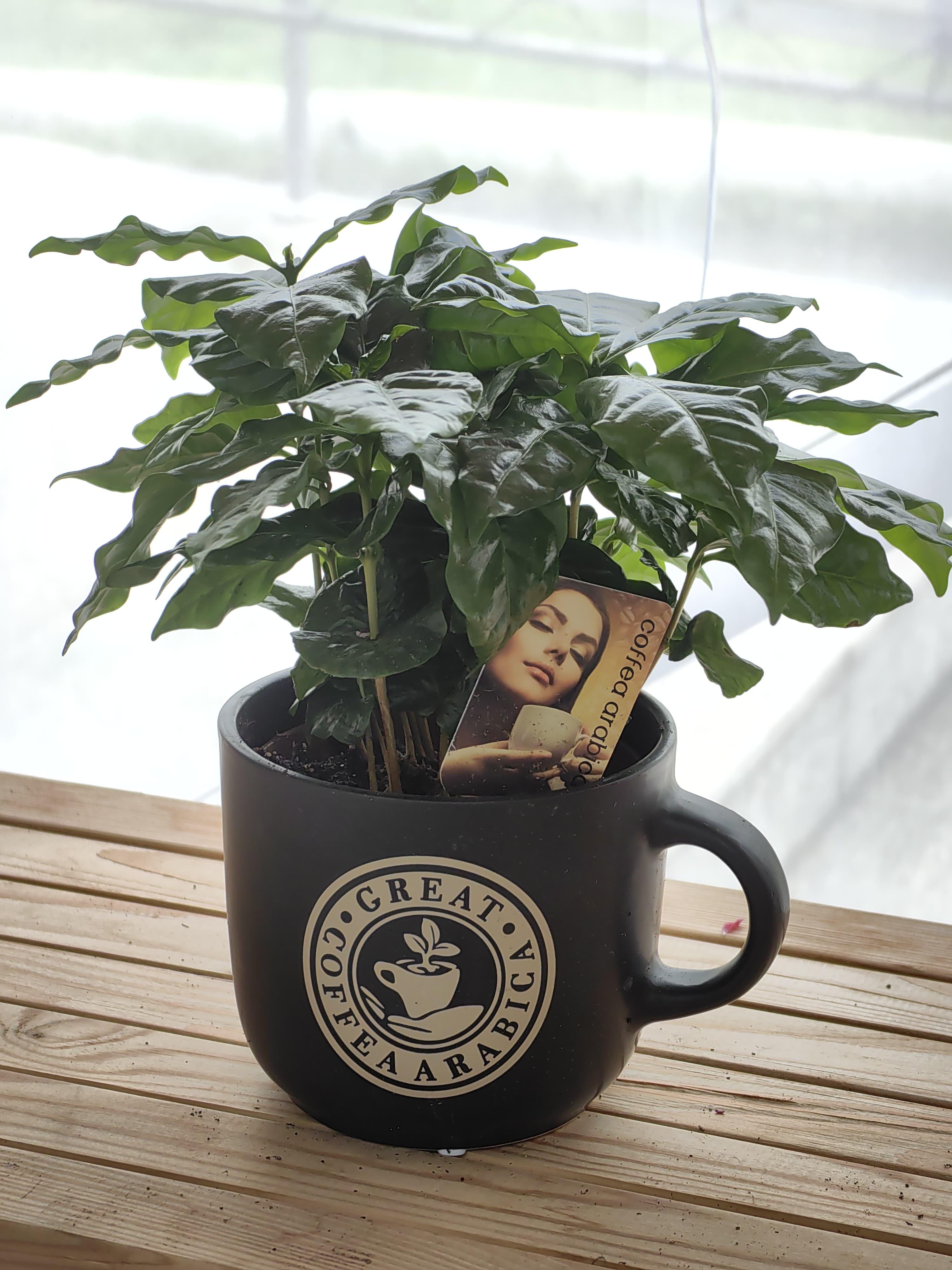 goods image