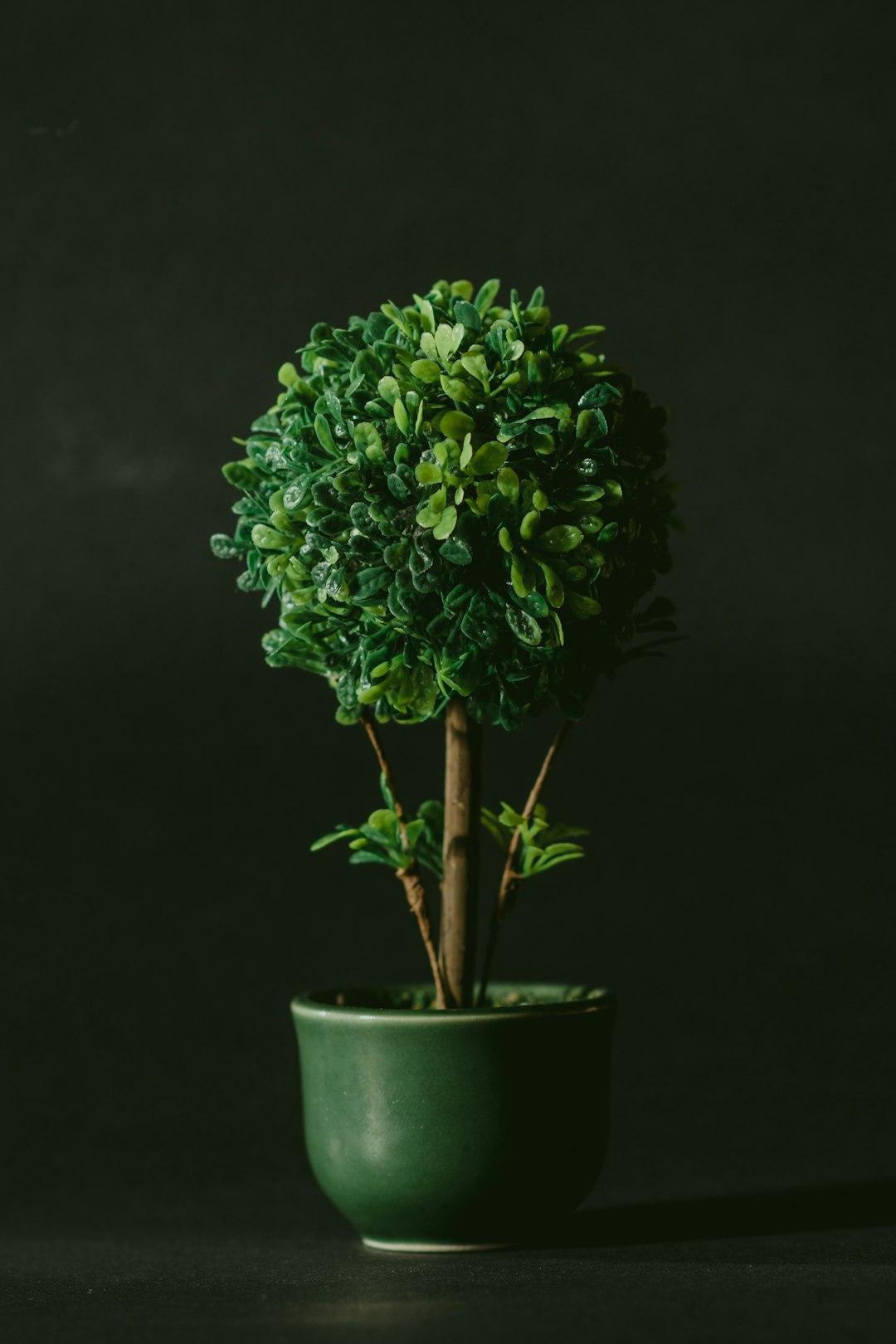 goods image