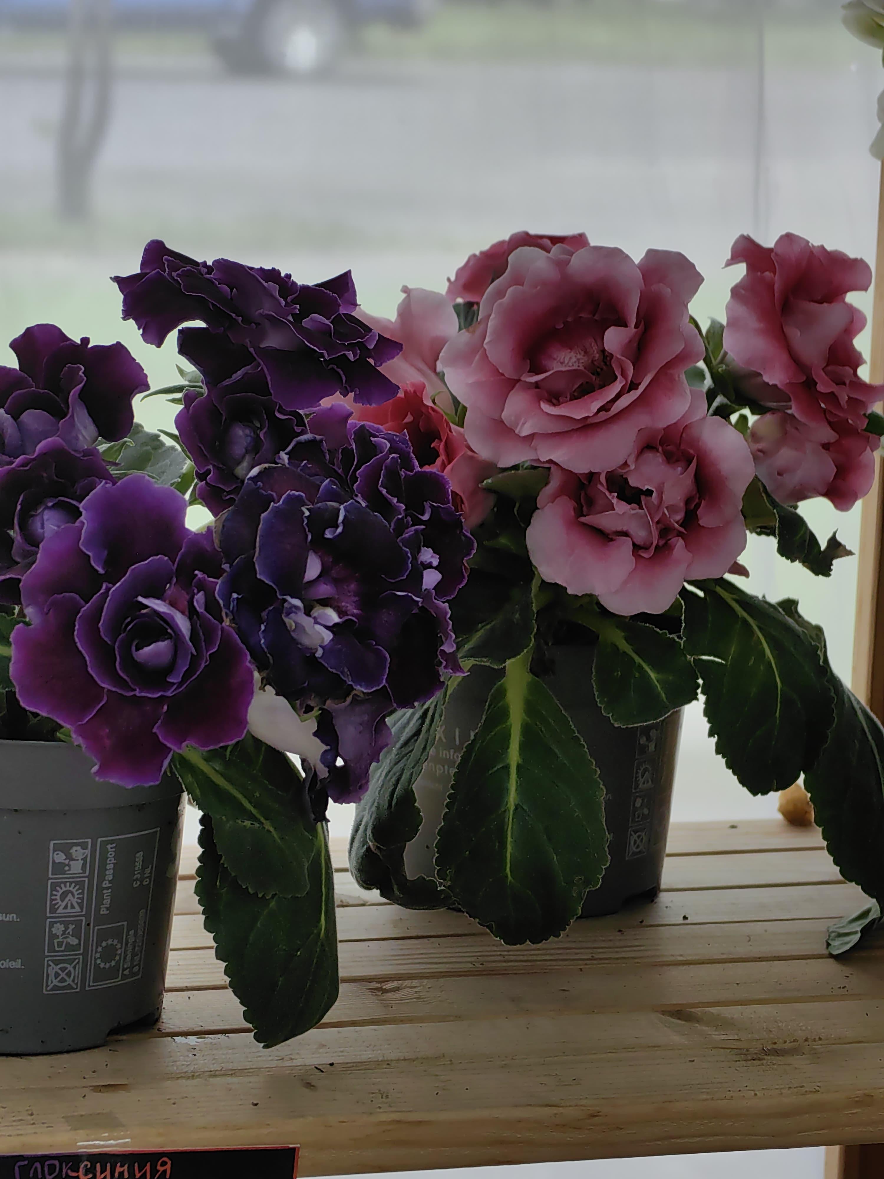 goods image