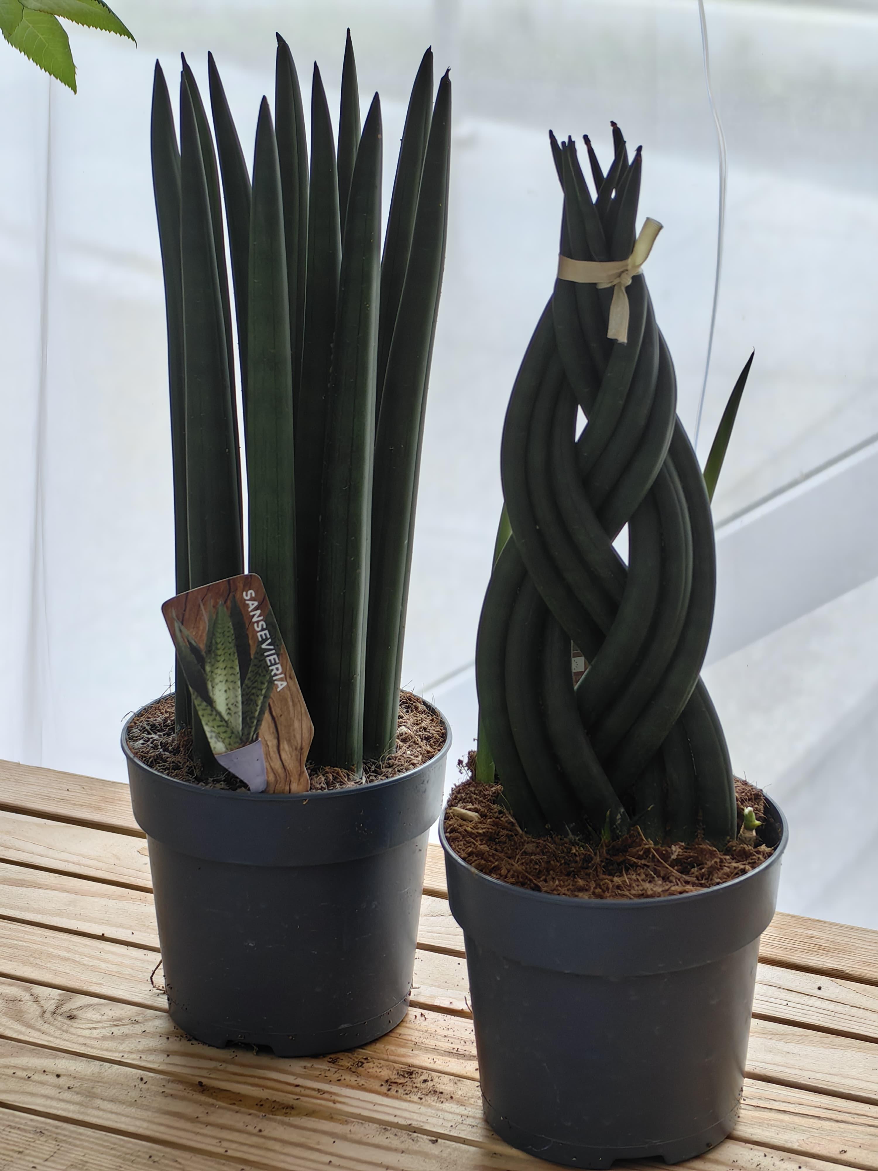 goods image