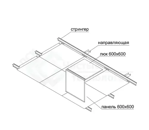 <img src="line.webp" alt="">
