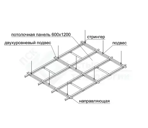 <img src="line.webp" alt="">