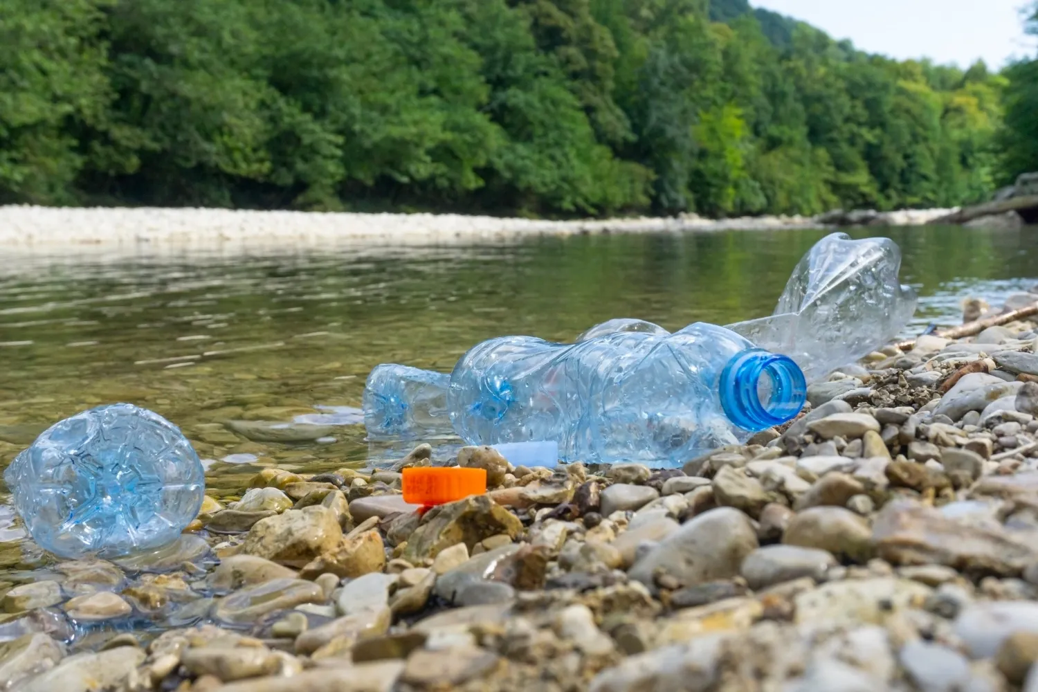 Эковолна Чувашии