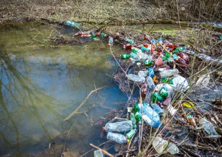 Эковолна Чувашии Эковолна Чувашии