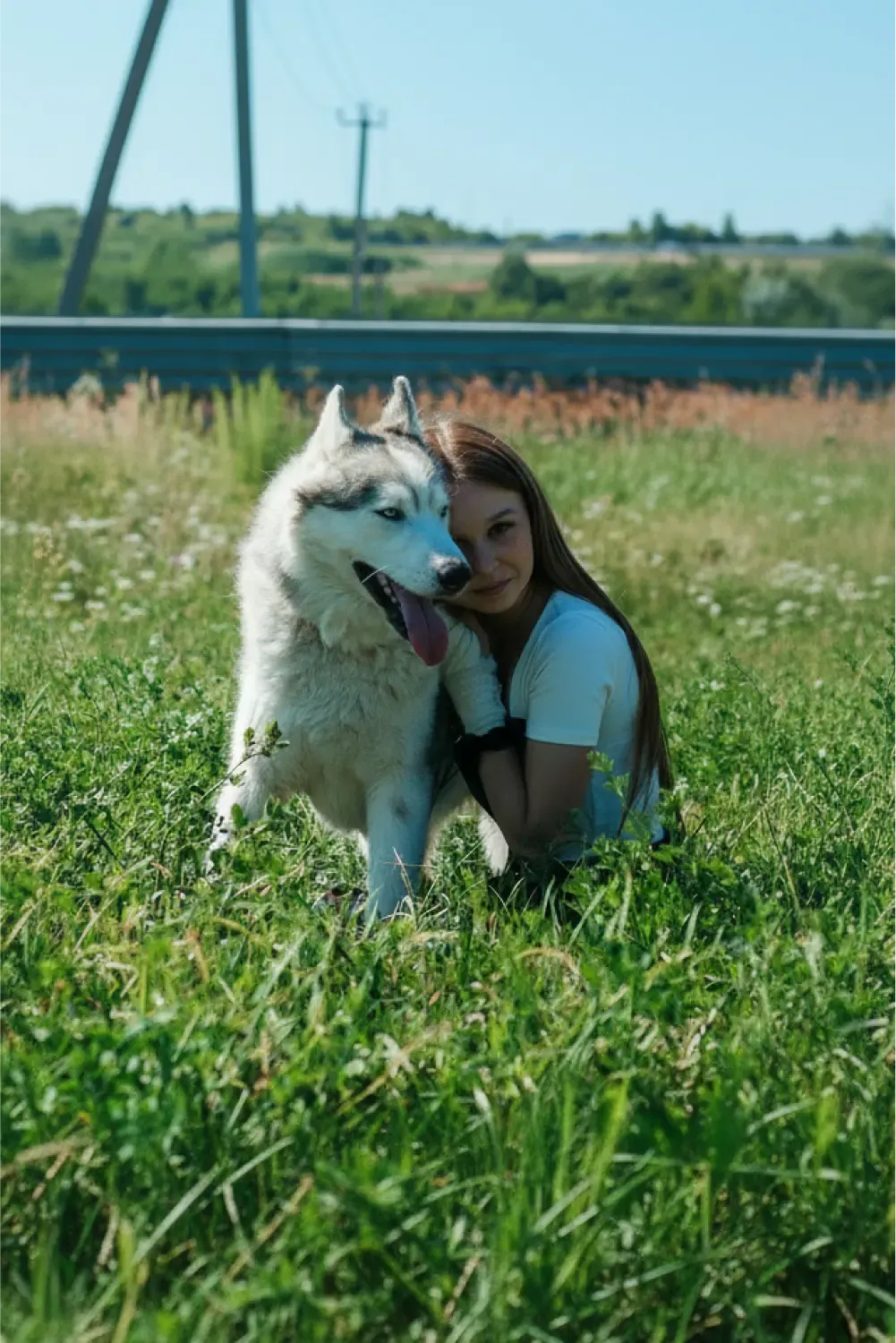 Хаски Хелп Чувашия