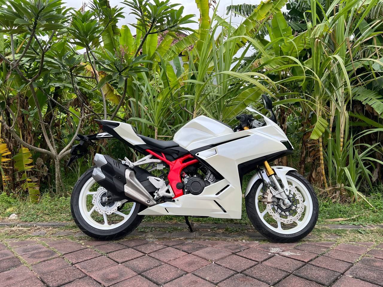 Honda CBR 250 White-Red-Blue SP QS