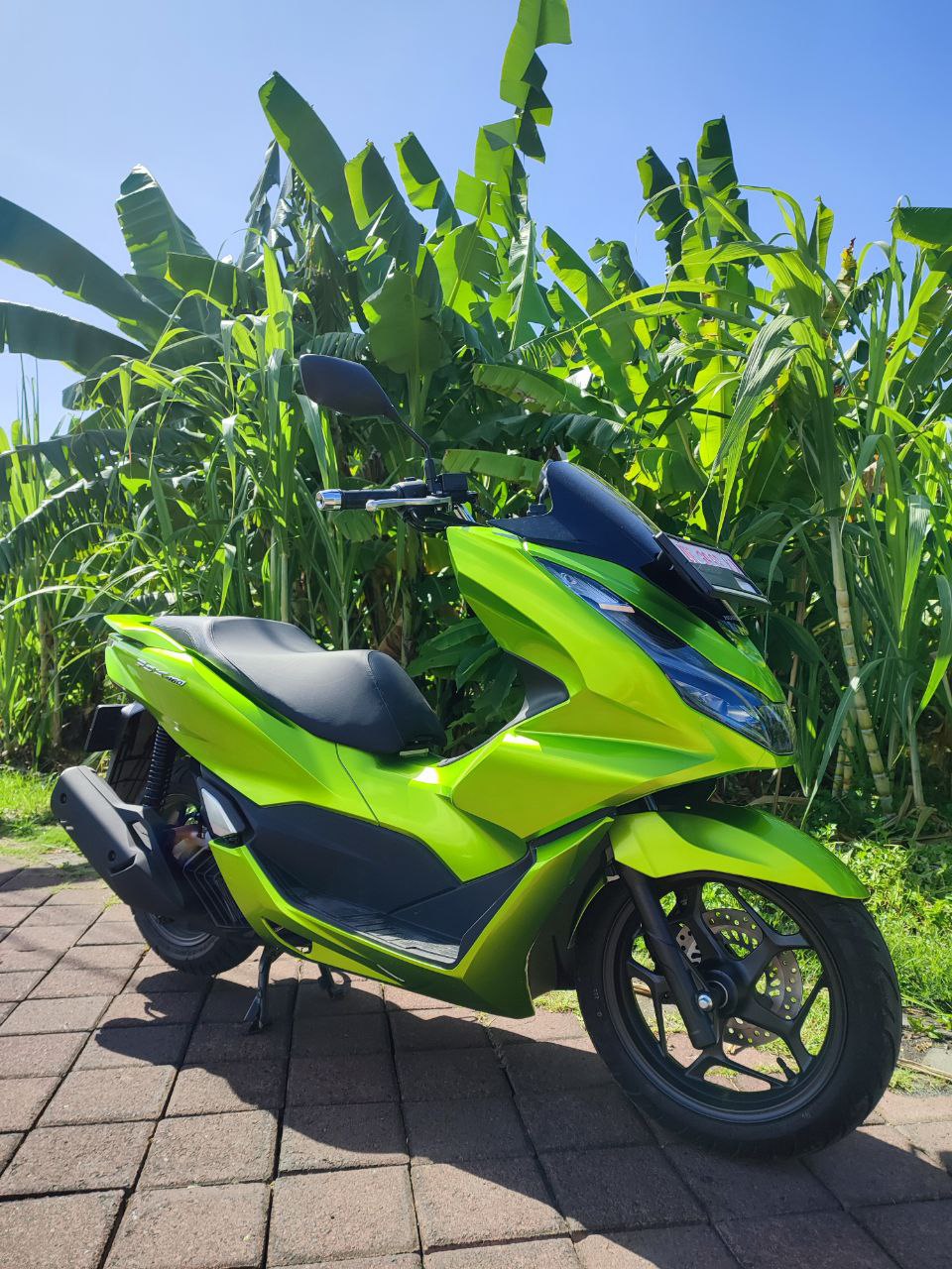 Honda PCX 160 custom