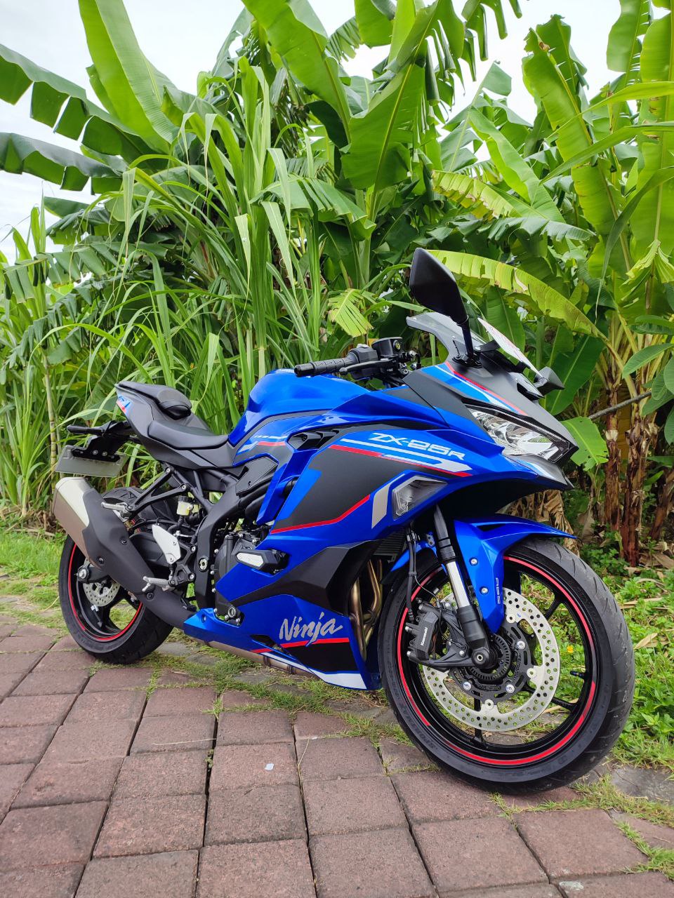 Kawasaki Ninja ZX