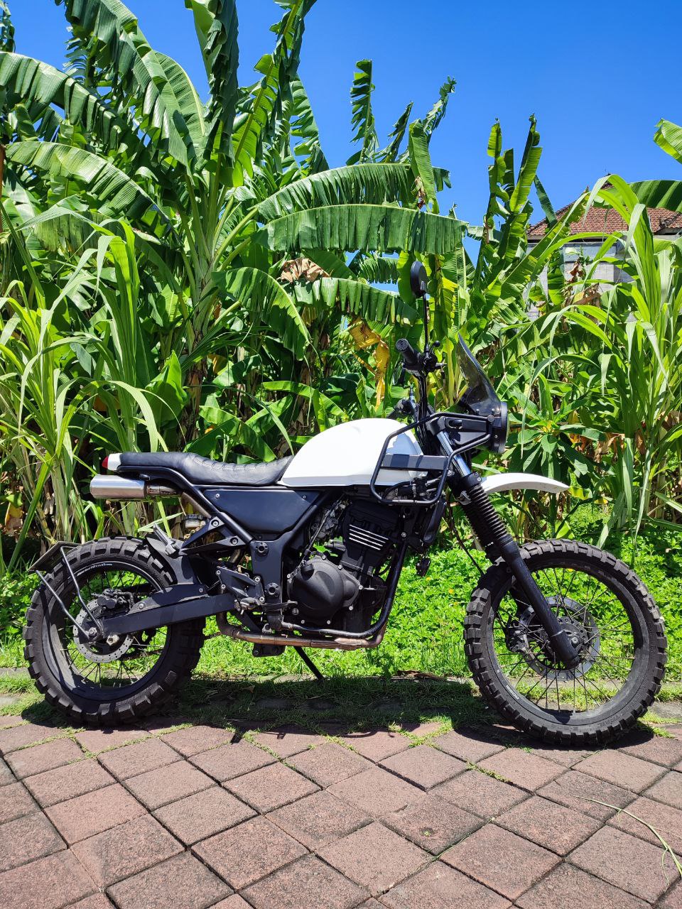 Kawasaki Frankenstein 250 Custom