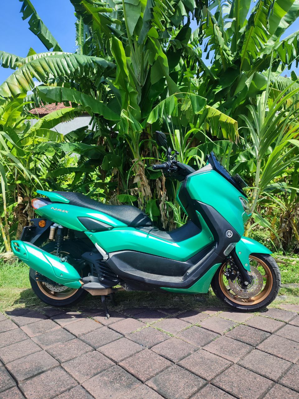 Yamaha Nmax green