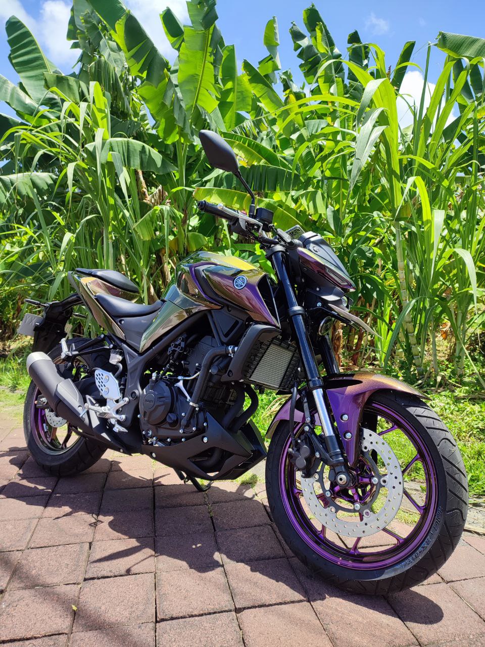 Yamaha MT 250 custom