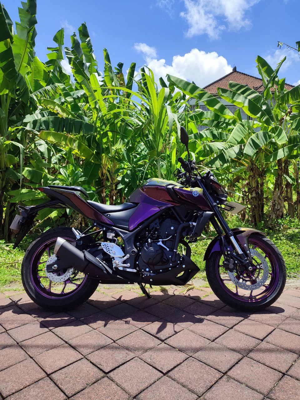 Yamaha MT 250 Hameleon