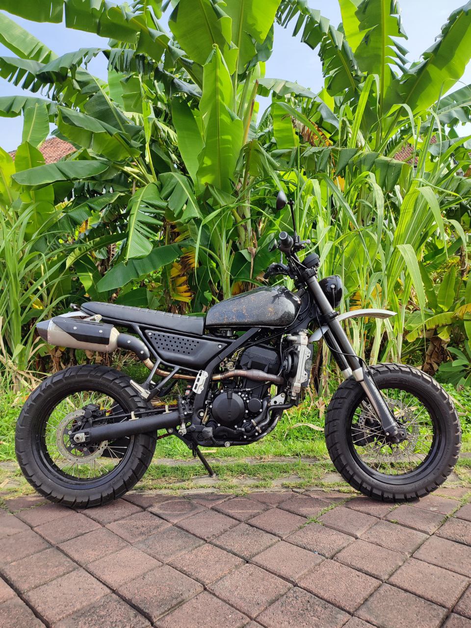 Kawasaki D-tracker 250 Custom