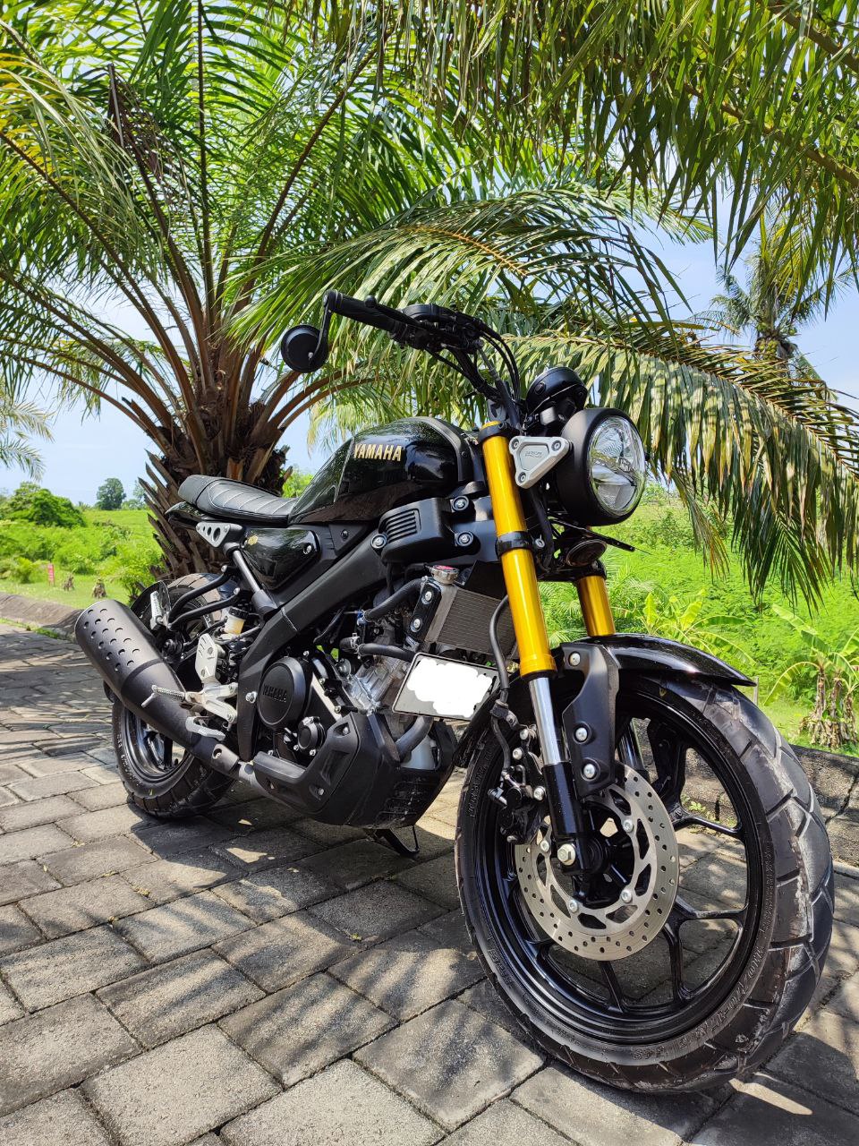 Yamaha XSR 155 custom