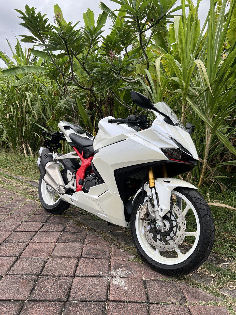 Honda CBR 250