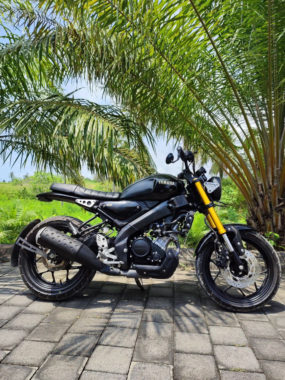 Yamaha XSR 155 custom