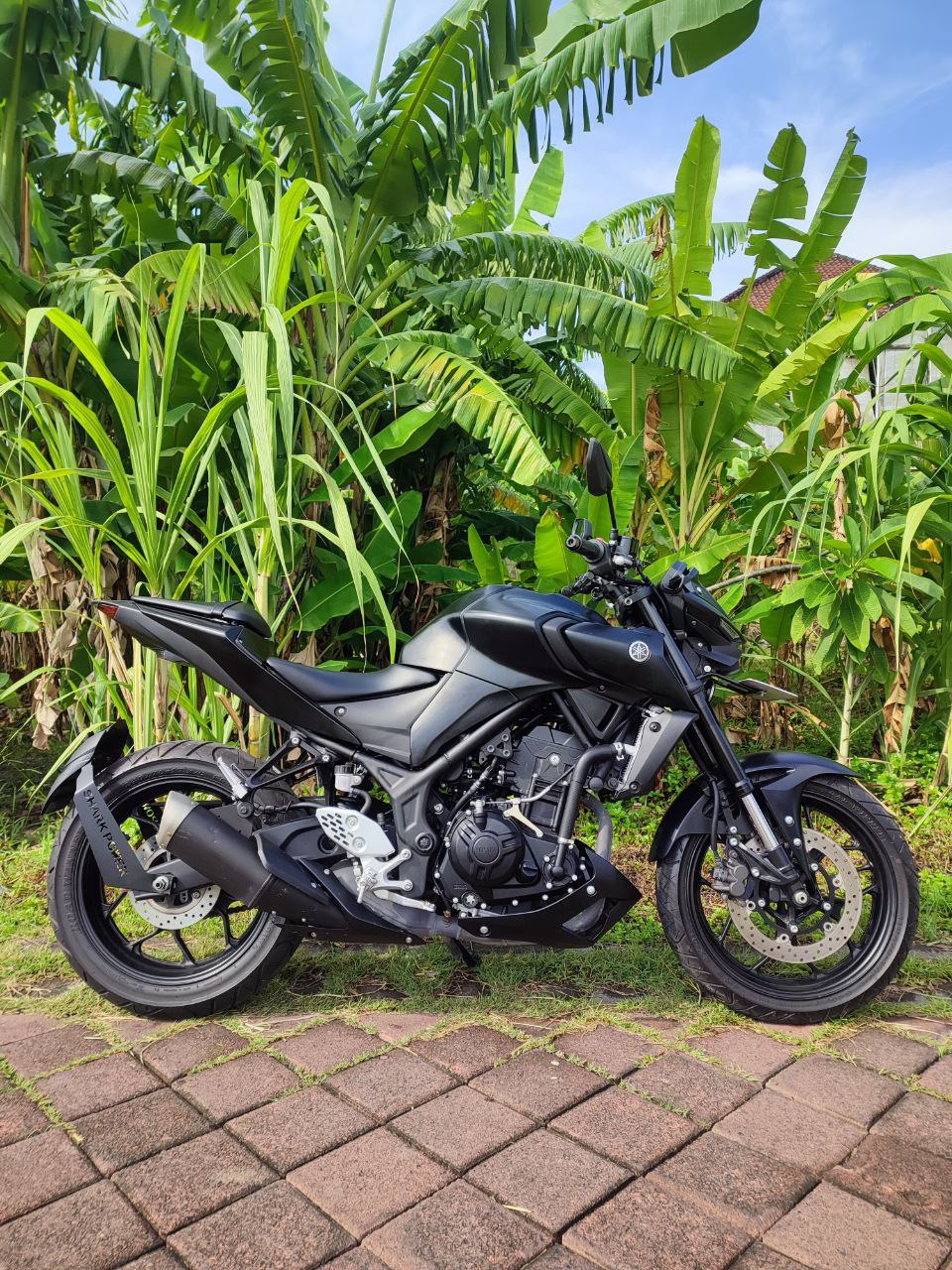 Yamaha MT 250 black