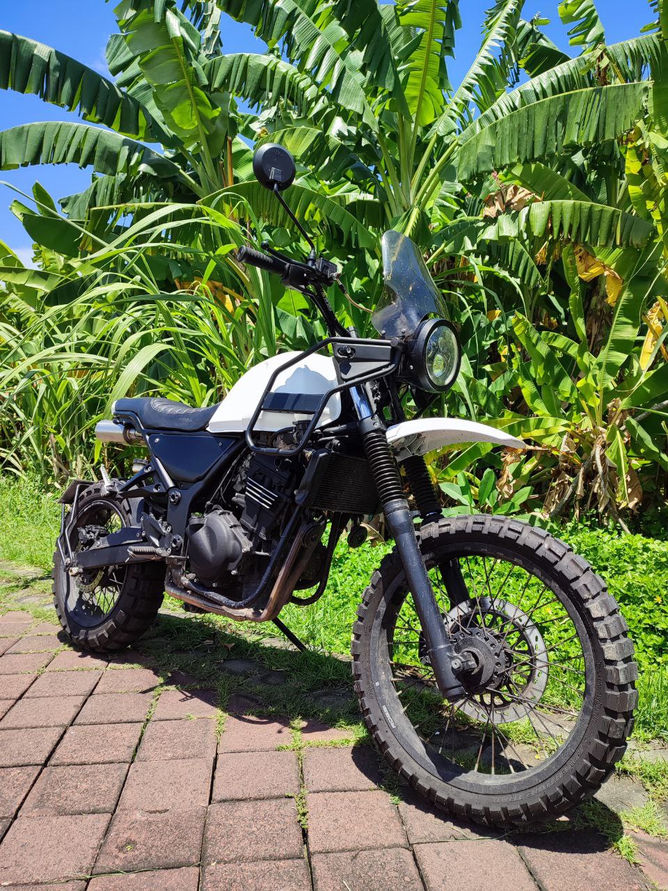 Kawasaki 250 Custom