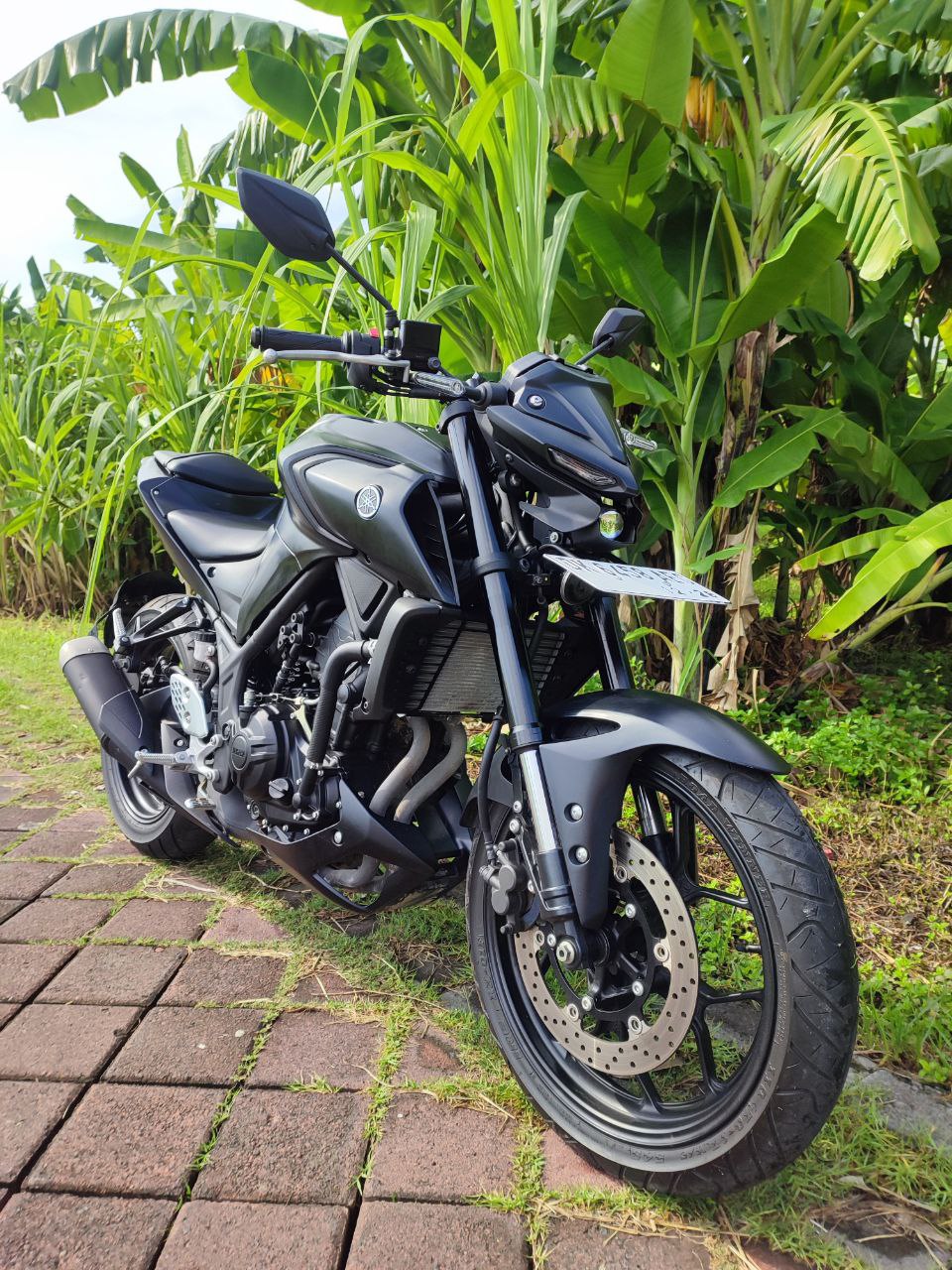 Yamaha MT 250 black custom