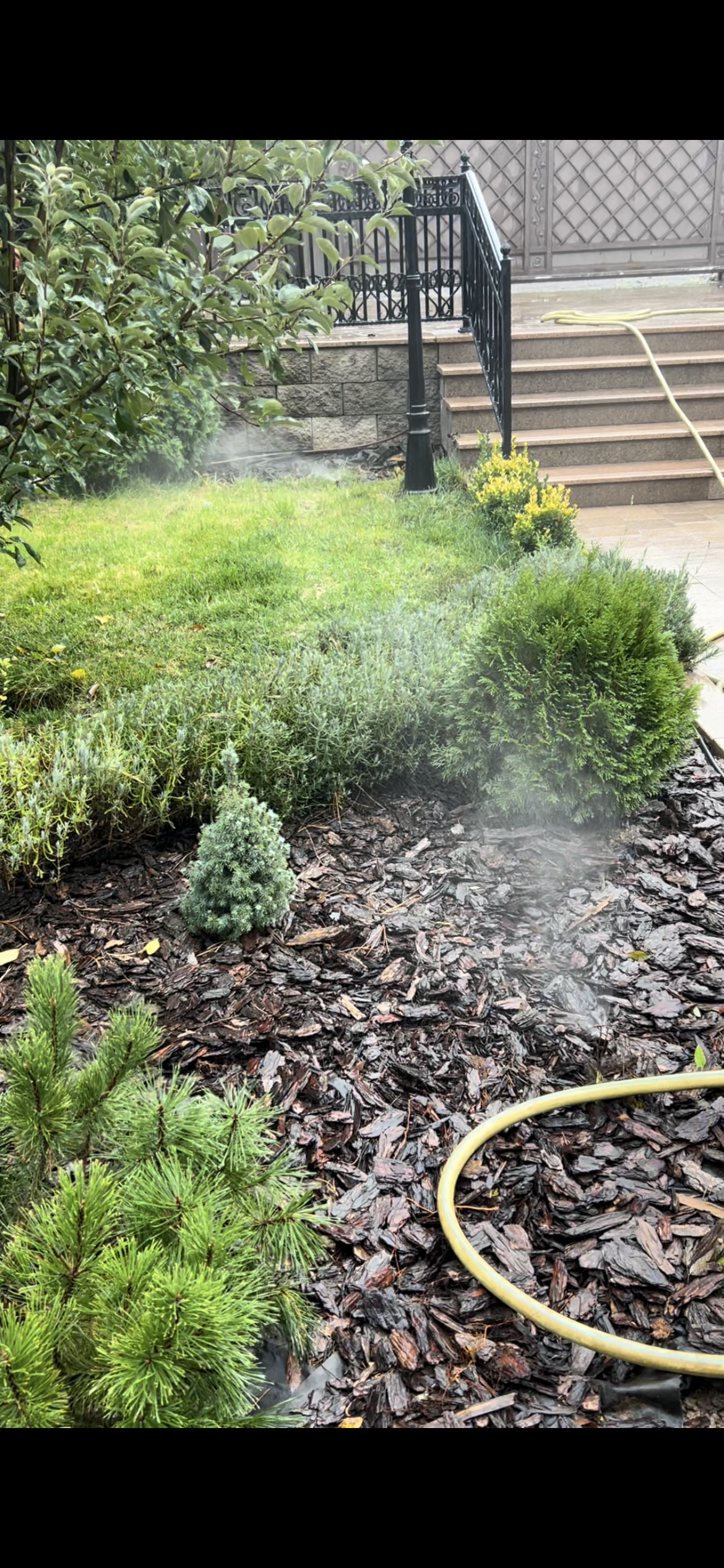 double image fisrt part