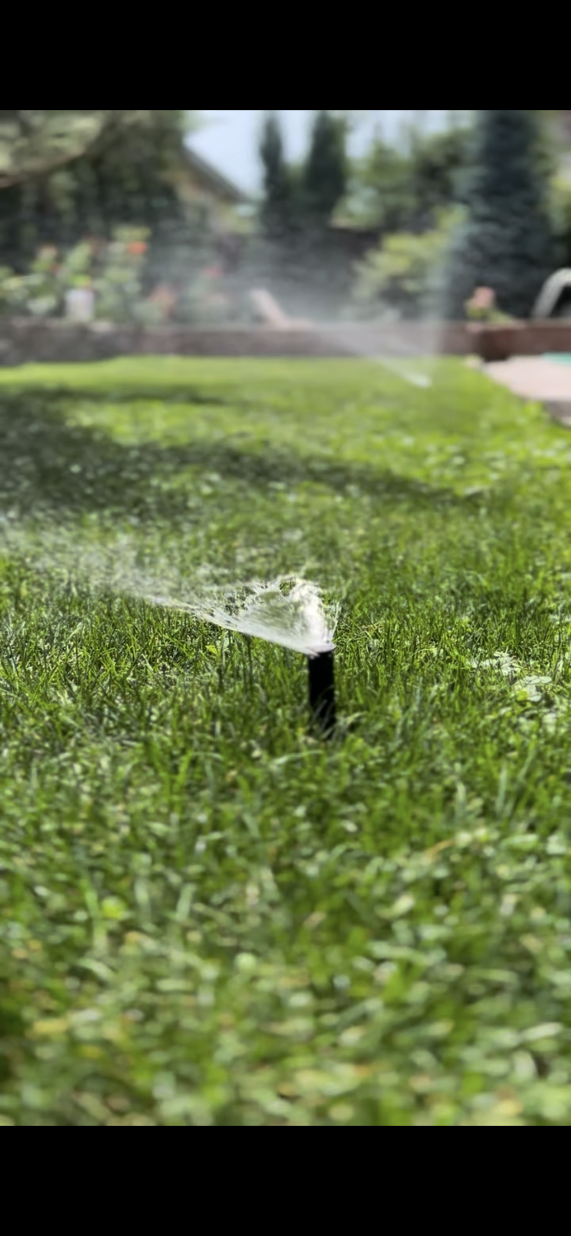 double image second part