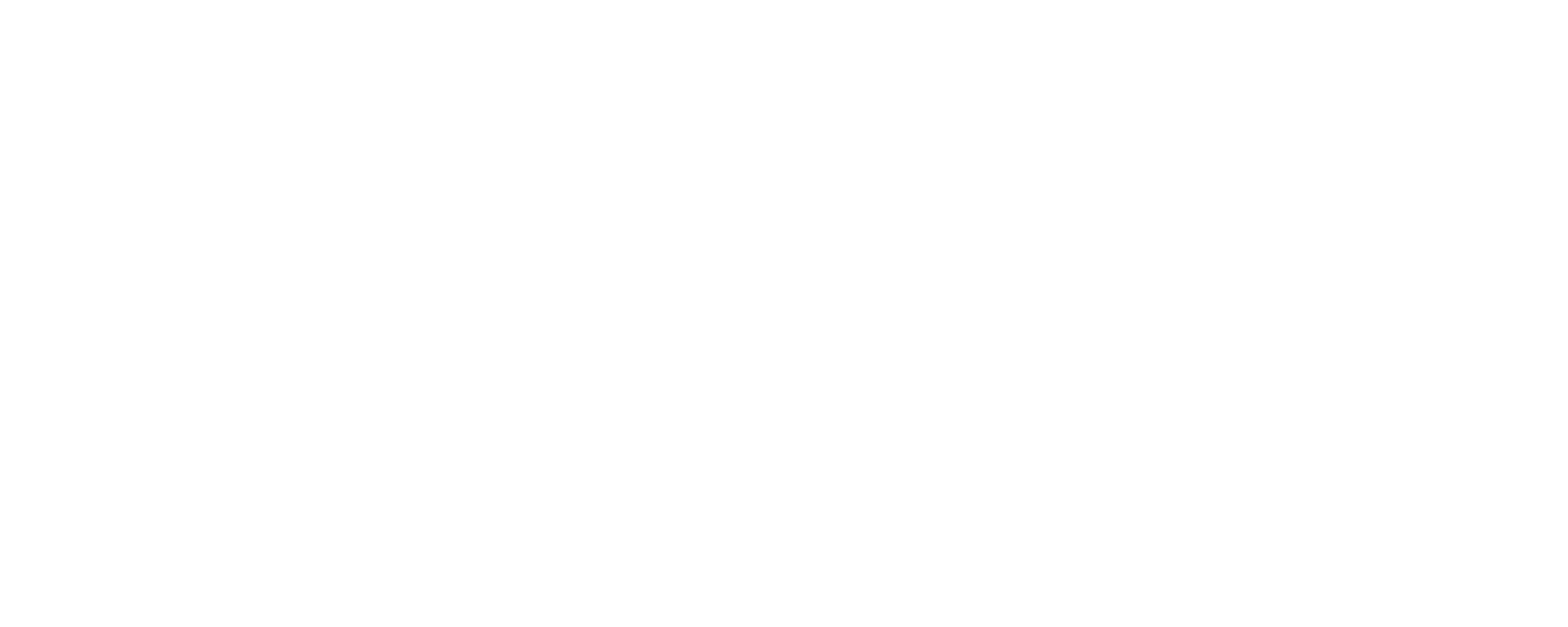 double image fisrt part