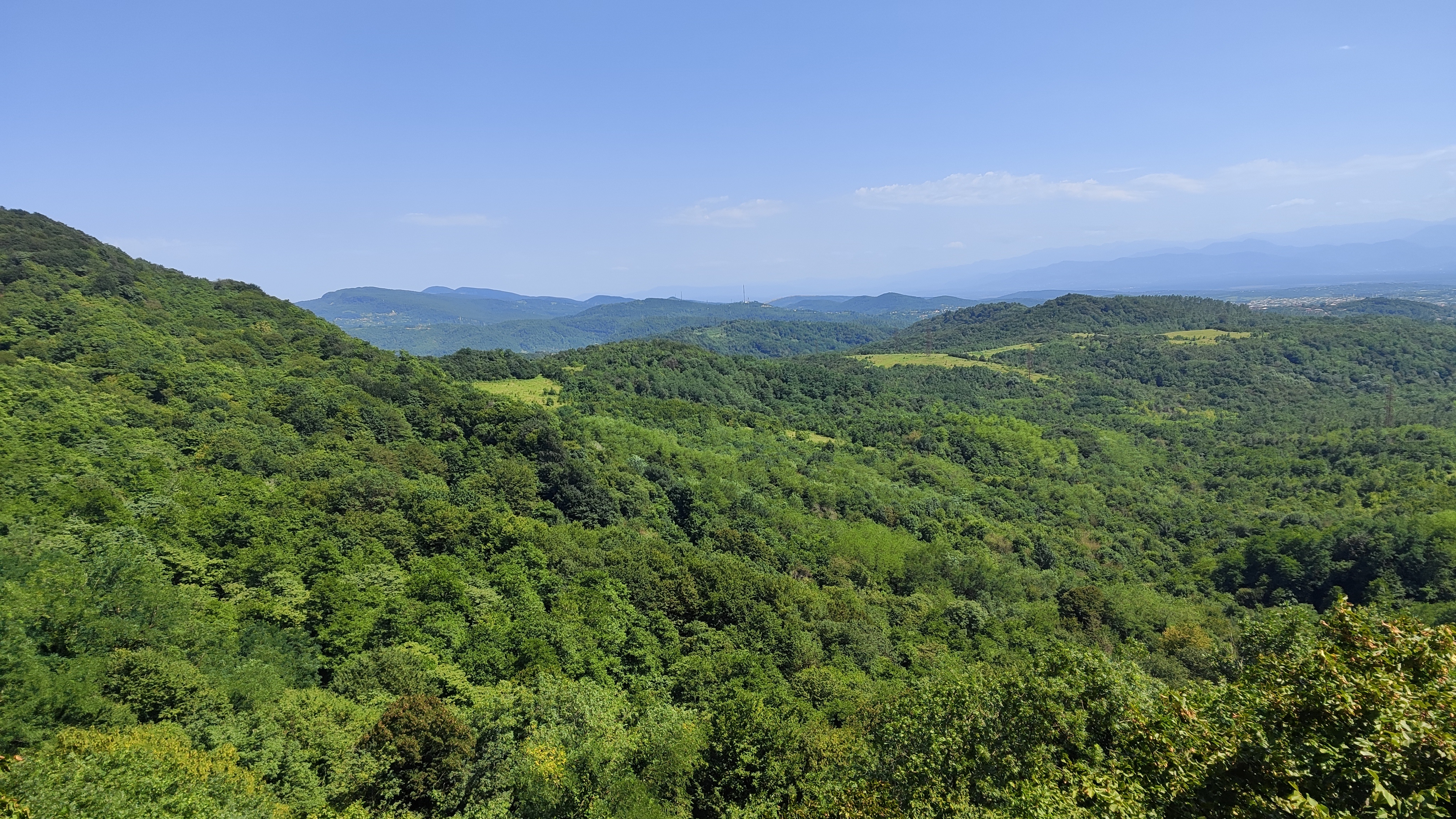 каньон мартвили