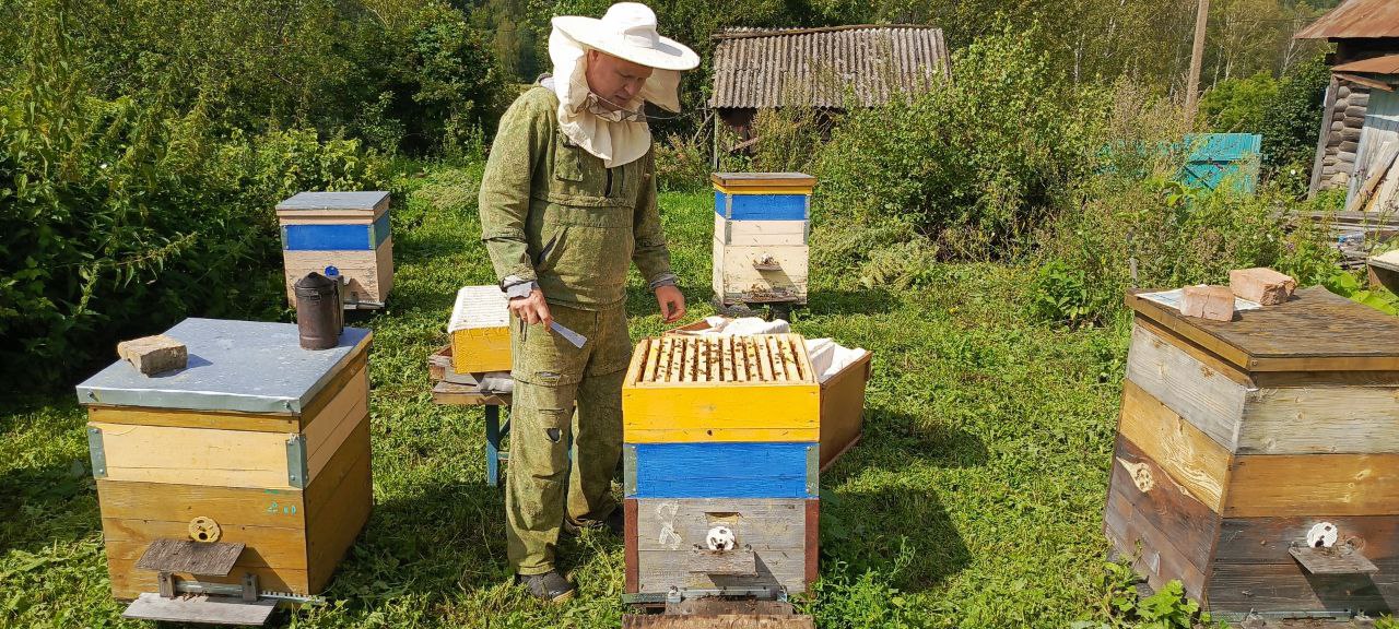 пасечник работает с пчелами