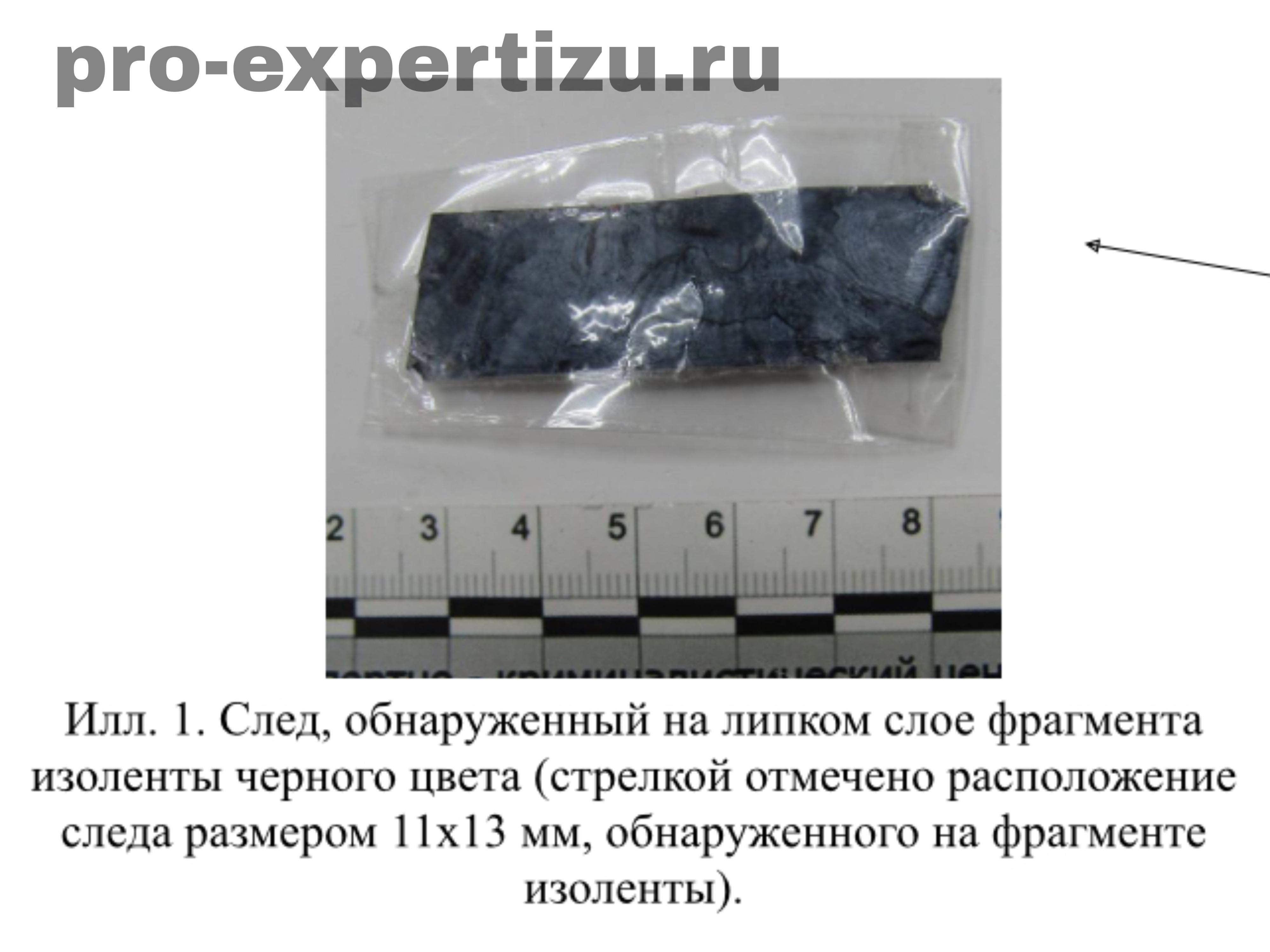 Рецензия на дактилоскопическую экспертизу 