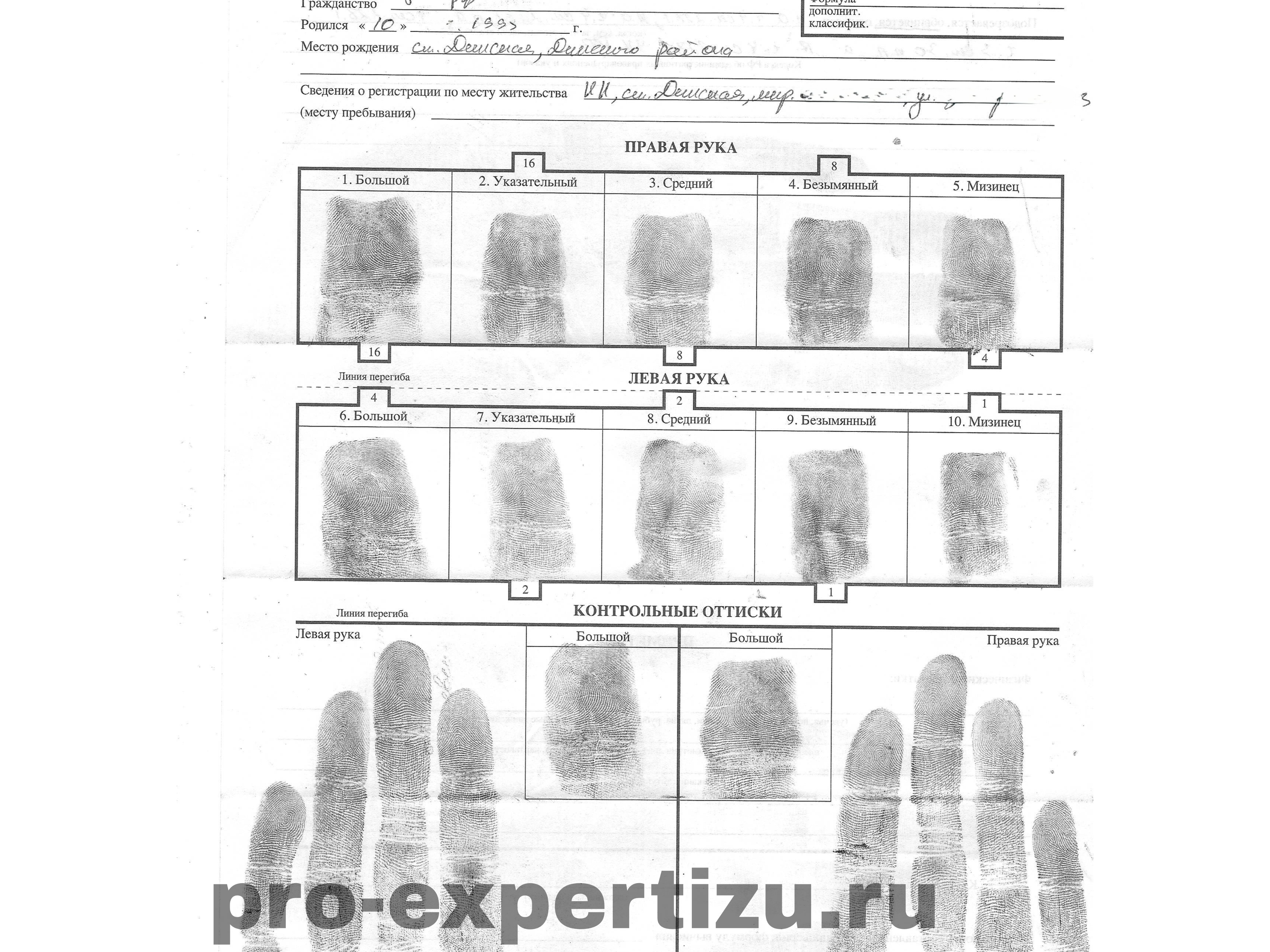 Рецензия на дактилоскопическую экспертизу 