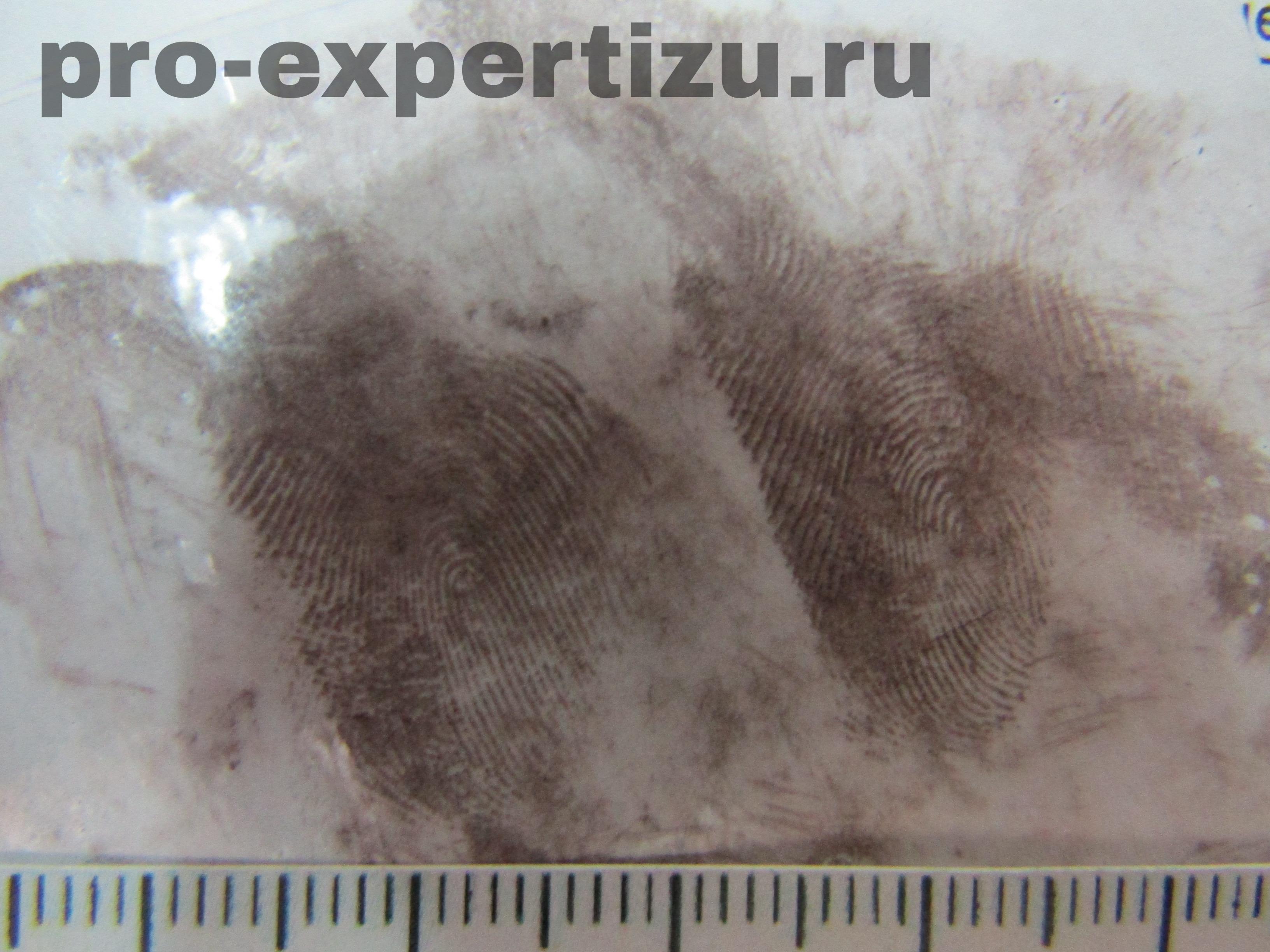 Рецензия на дактилоскопическую экспертизу 