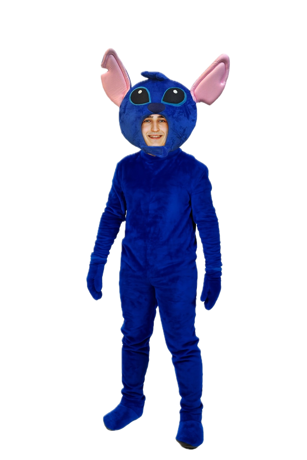 goods image