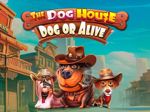 8296_the_dog_house_dog_or_alive