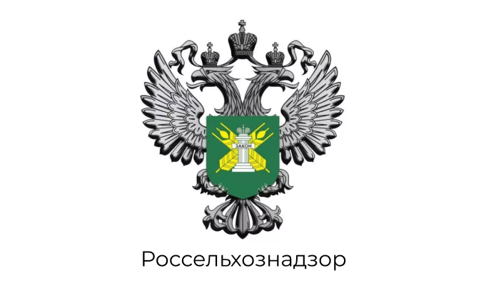 slider logo