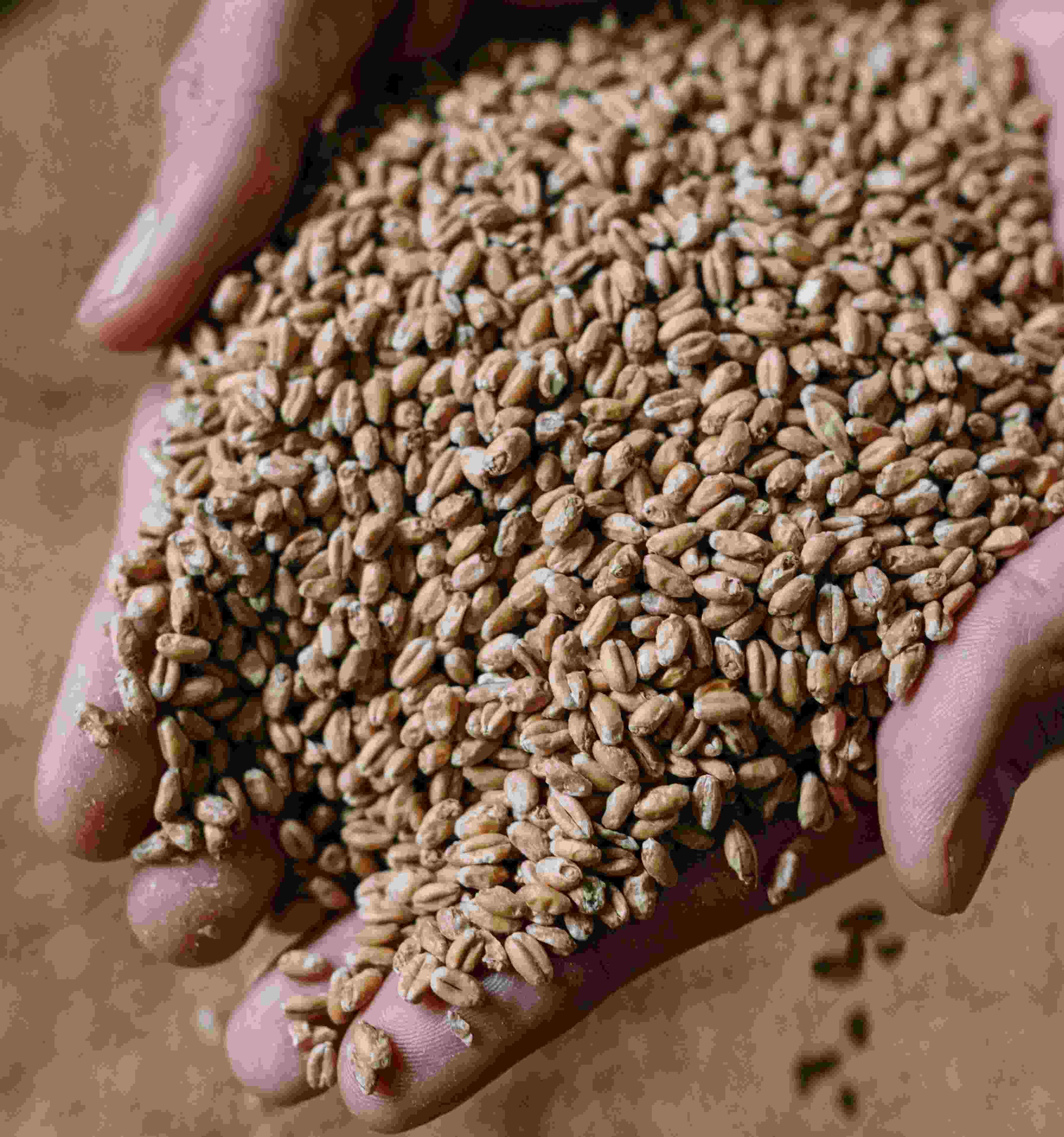 goods image