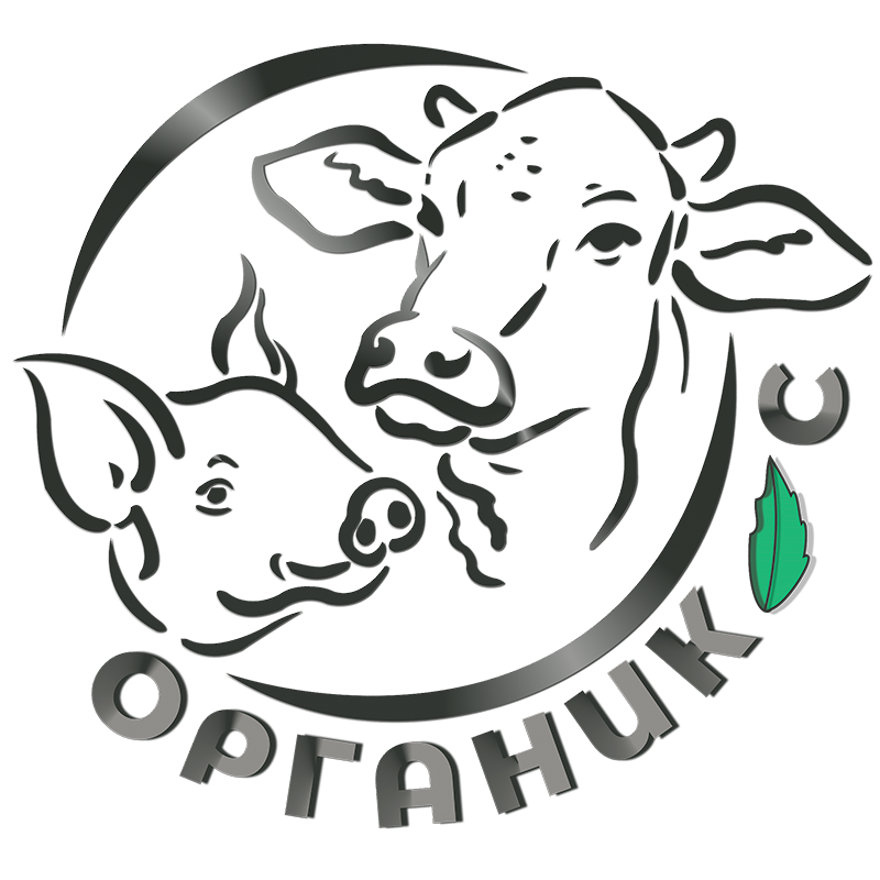 organik-s logo