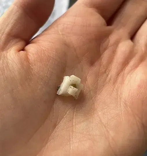 Проблемы петель встроенного холодильника