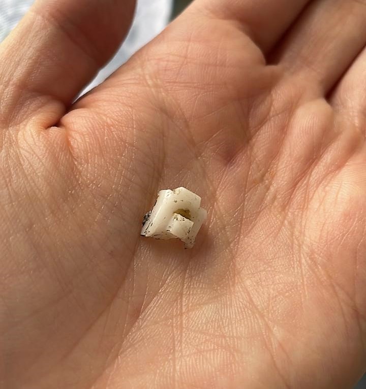 Поломка петель встроенных холодильников Side by Side