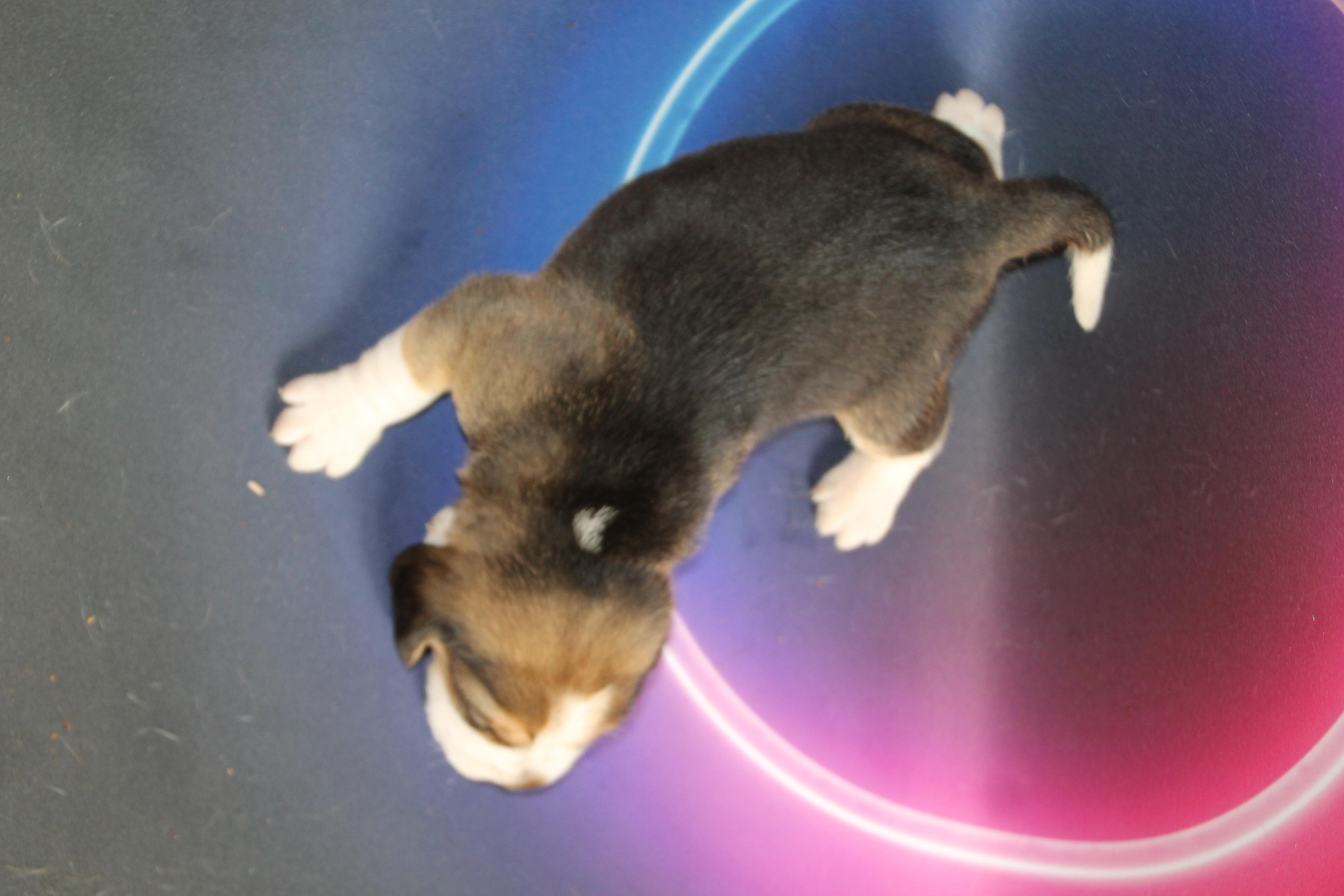 slider logo