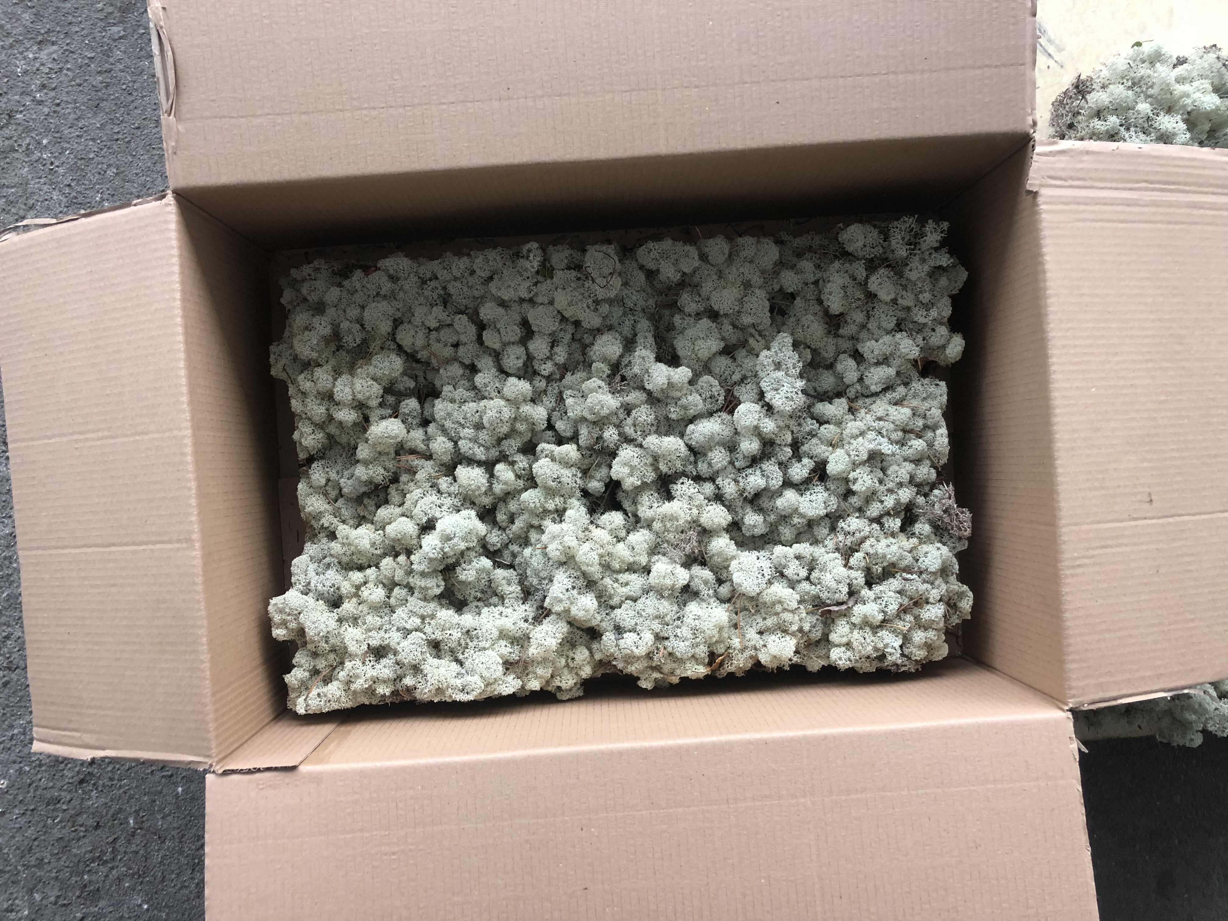goods image