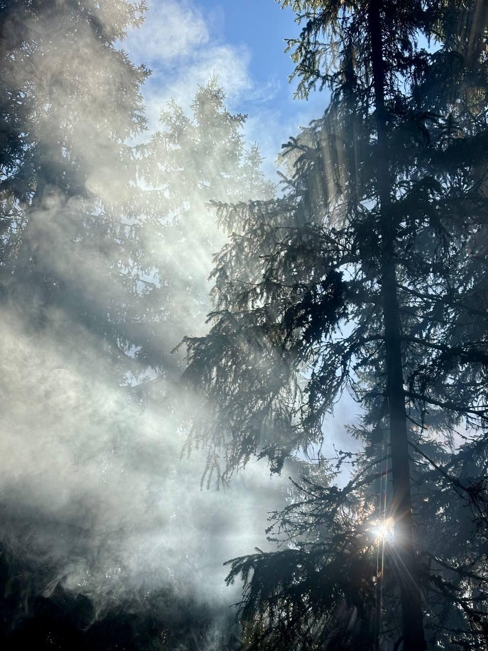 double image second part