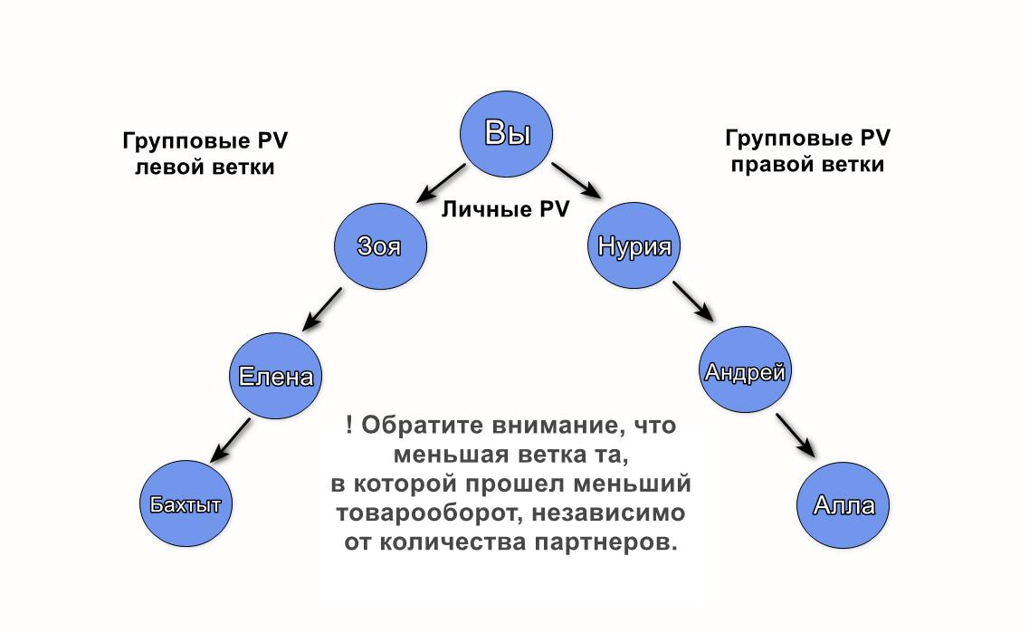 Маркетинг план Атоми ветки