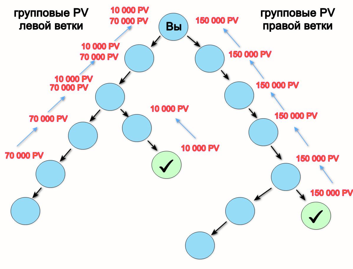 Маркетинг план Атоми групповые PV