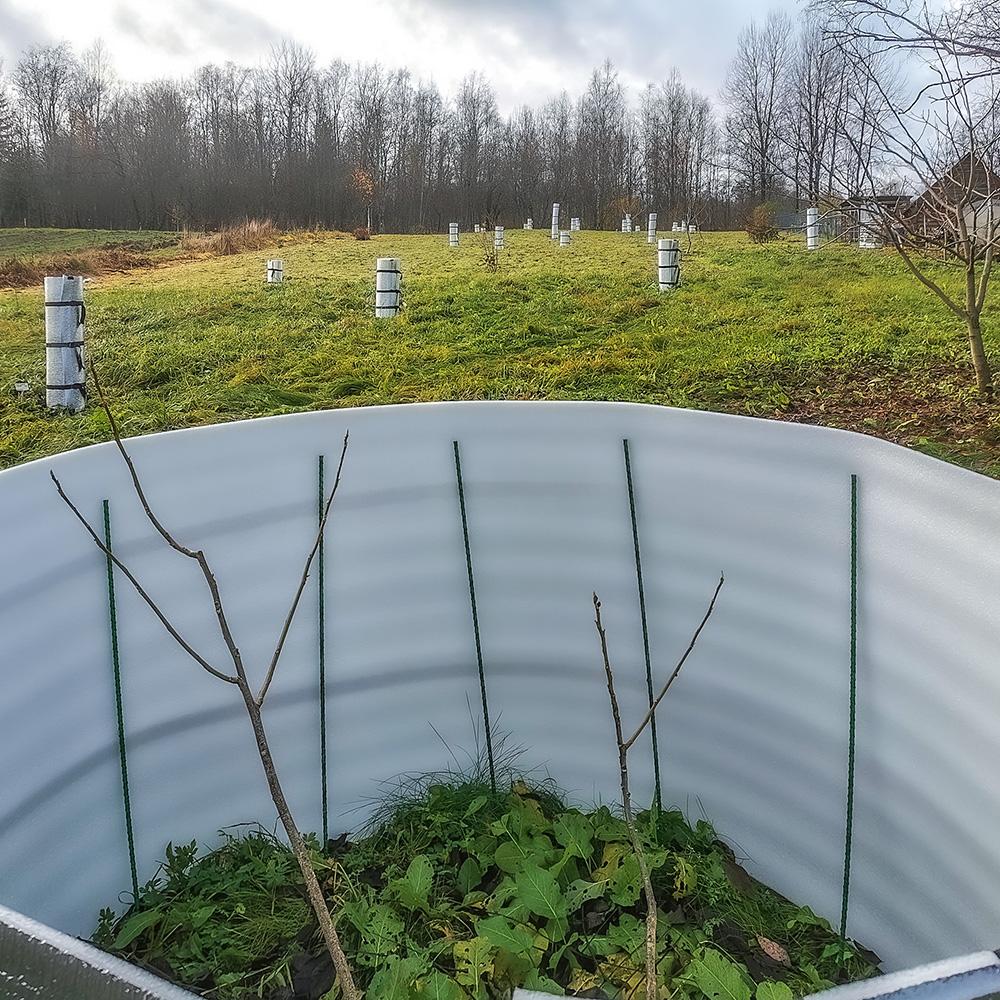 защита изолоном самого широкого ореха на зиму