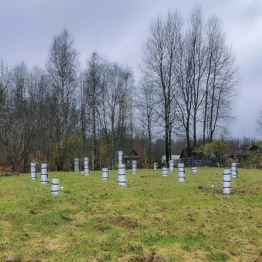 Туннельное укрытие молодых орехов на зиму