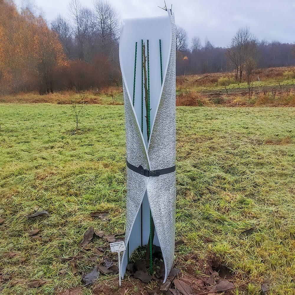 установка туннельного укрытия молодого саженца на зиму