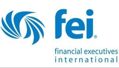 Svetlana Gadzhieva, CPA – Member of Financial Executives International (FEI)