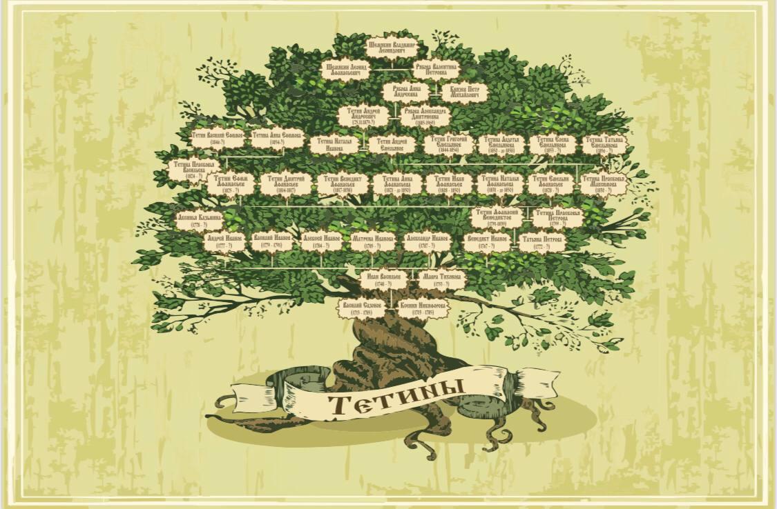 пример оформления генеалогического древа